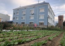 차쿠성당 터밭01