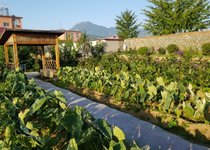 차쿠성모서정/2019.09.21